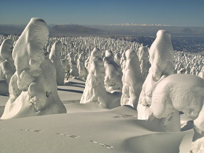 Snježna čudovišta - 7