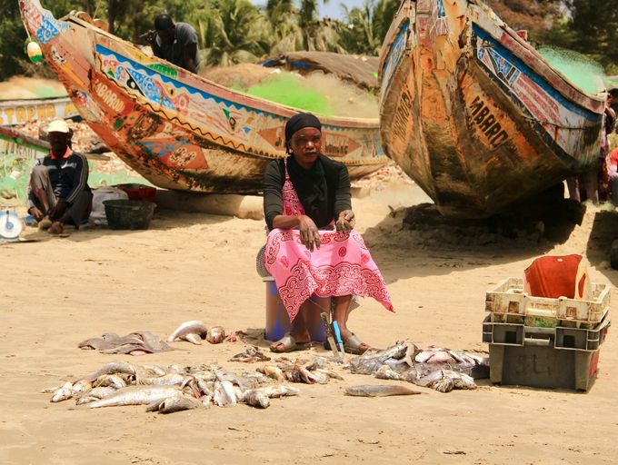 Senegal - 45