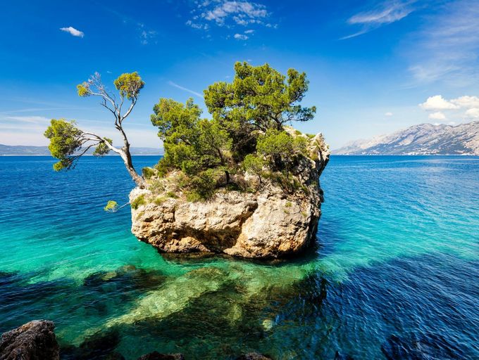 Novi kviz općeg znanja - 1