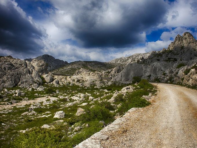 Kviz općeg znanja - 12