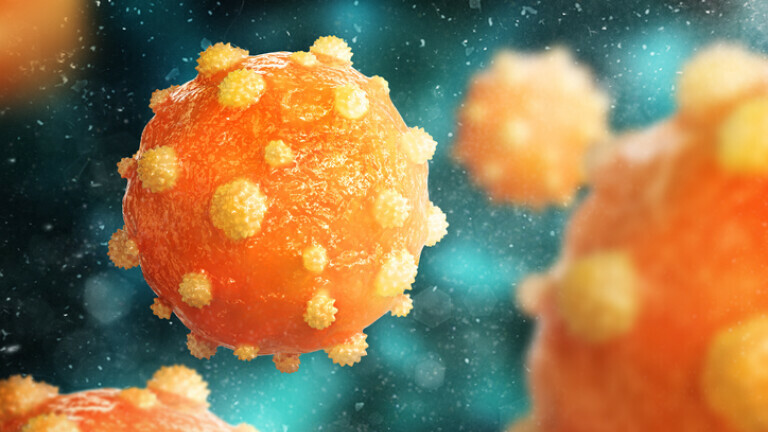 Virus hepatitisa, ilustracija