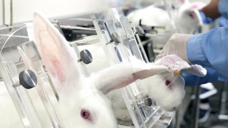 Laboratorijski zečevi