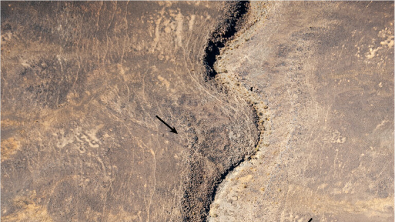 Misteriozni pustinjski zmajevi