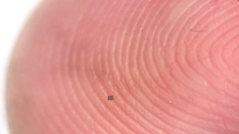 Najmanji autonomni i programibilan mikrorobot na svijetu