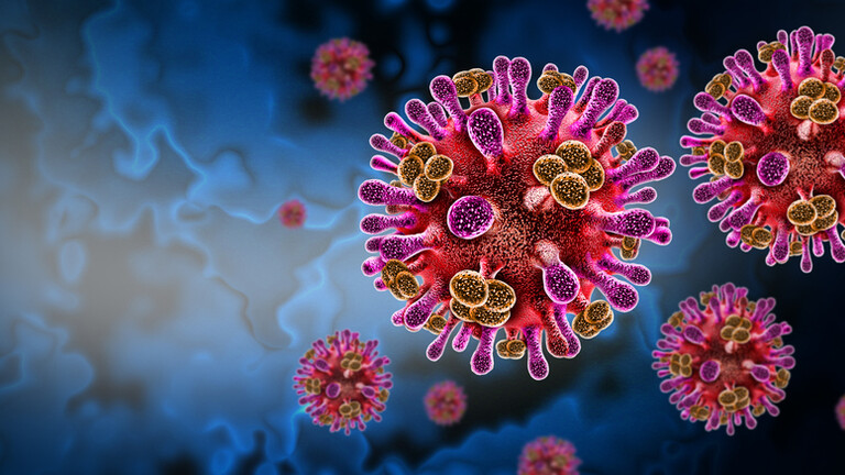 Virus Nipah, ilustracija