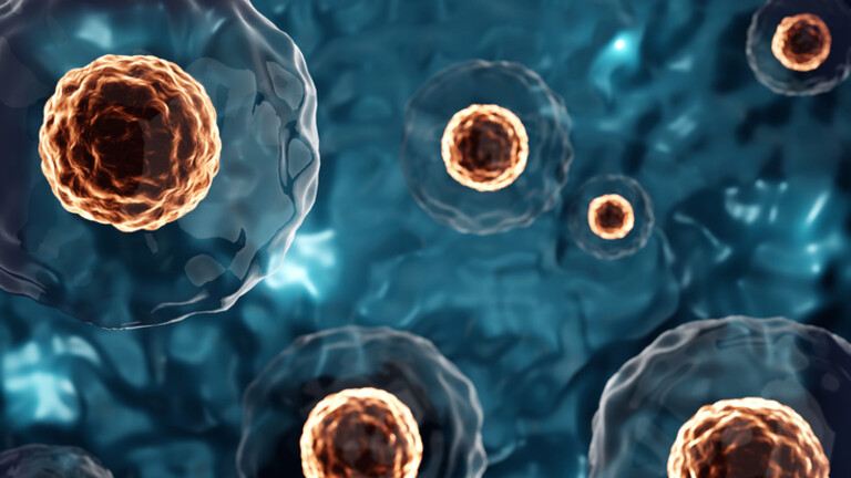 Matične stanice, ilustracija