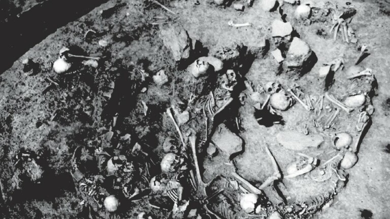 Masovna grobnica iz Željeznog doba u Gomolavi