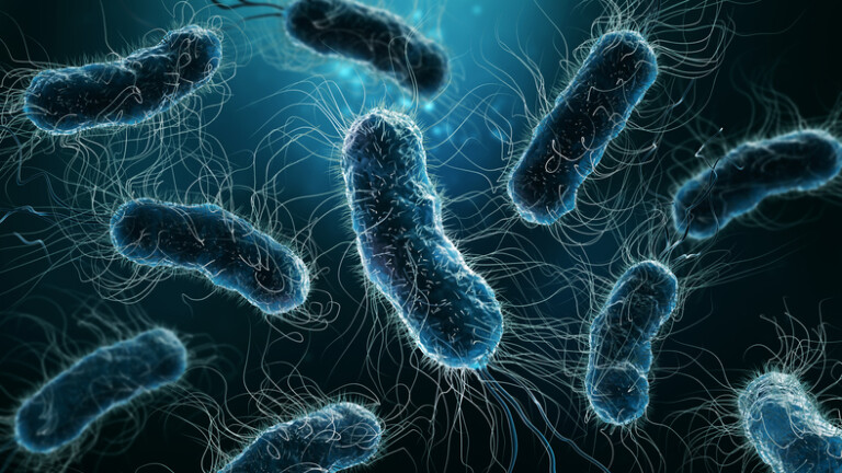 Bakterije, ilustracija