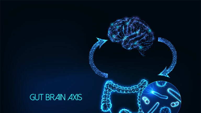 Osovina mozak-probava