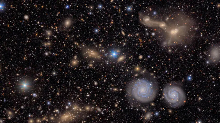 Maglice Trifid i Laguna