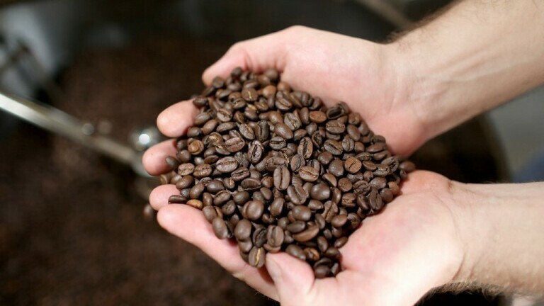Zrna kave