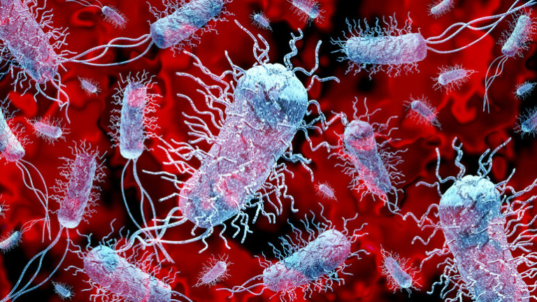 Superbakterije, ilustracija