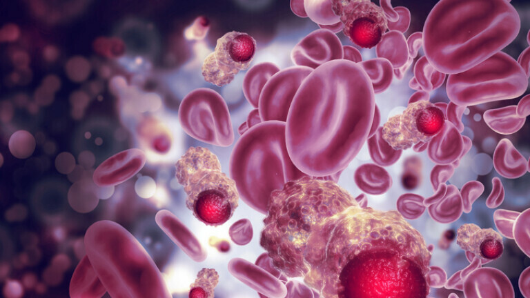 Stanice raka u krvi, ilustracija