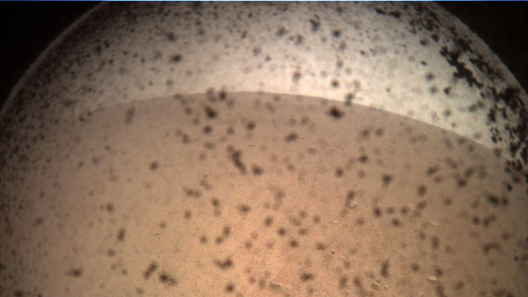 Prva InSightova fotografija s Marsa (Foto: NASA/JPL-Caltech)