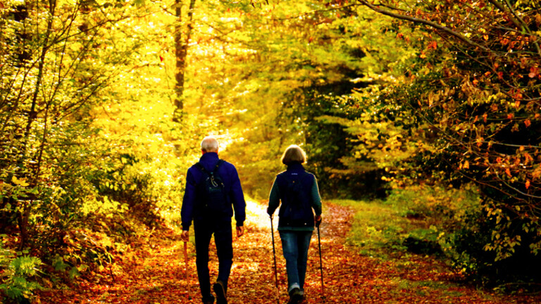 Stariji par u šetnji