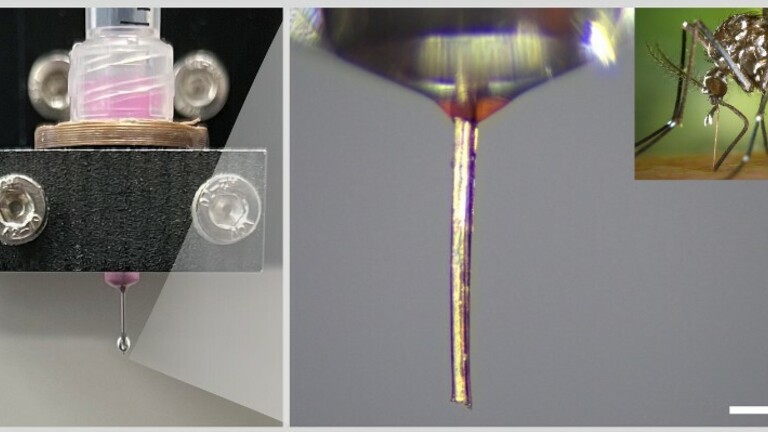 Rilo komarca korišteno kao mlaznica za 3D printanje