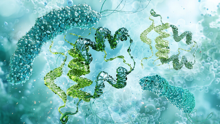 Beta stanice proizvode inzulin, ilustracija