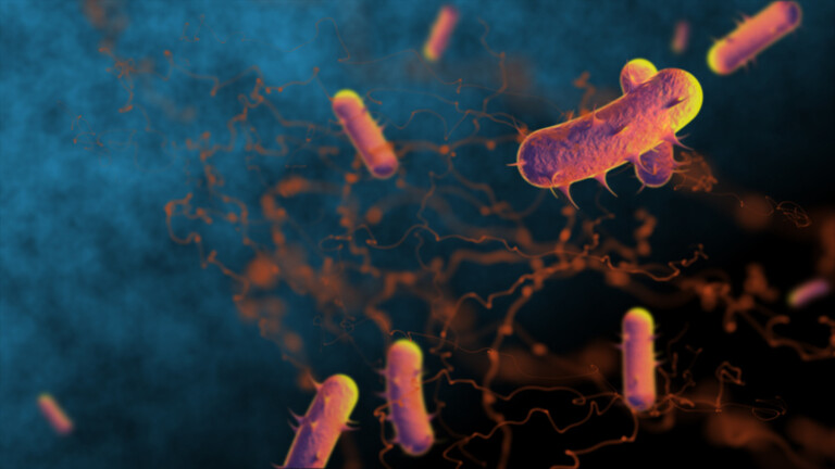Bakterije, ilustrcija