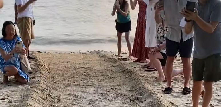 Turisti na plaži