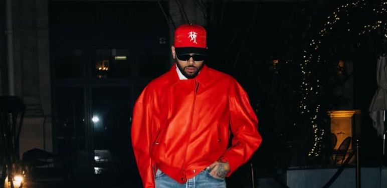 Pjevač Chris Brown