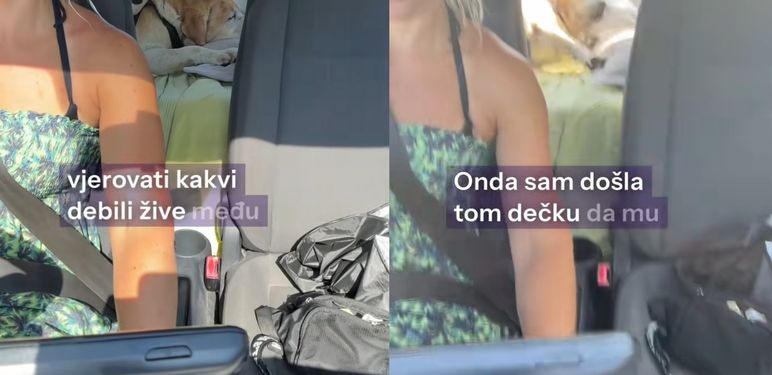Iskustvo s pseće plaže