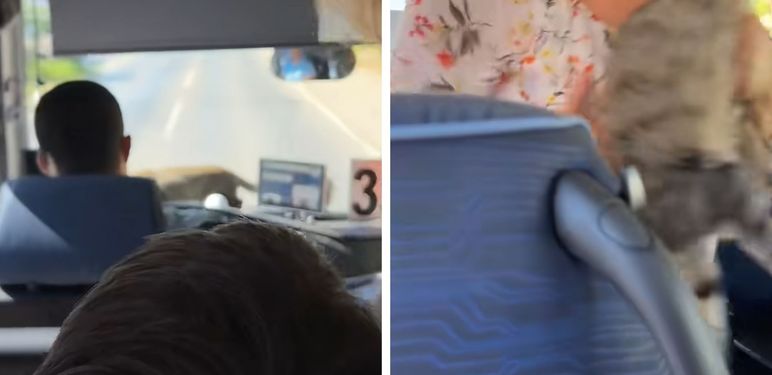 Životinja u autobusu