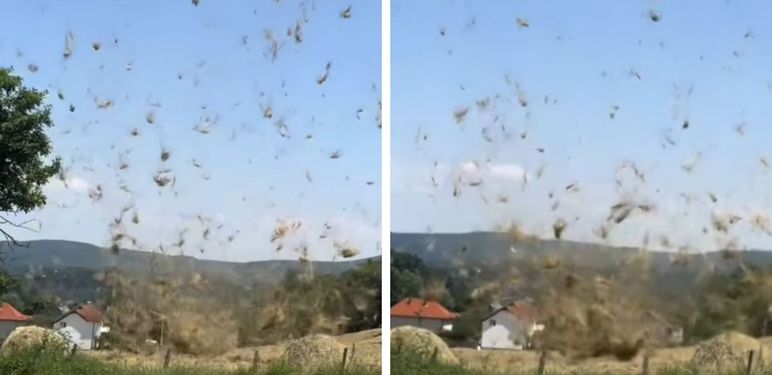 Podizanje trave vjetrom