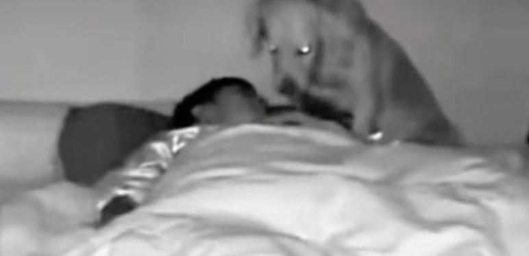 Buđenje usred noći