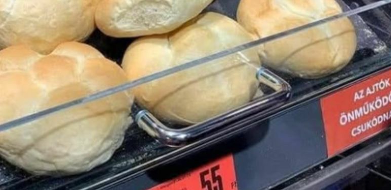 Miš koji jede pecivu u izlogu trgovine