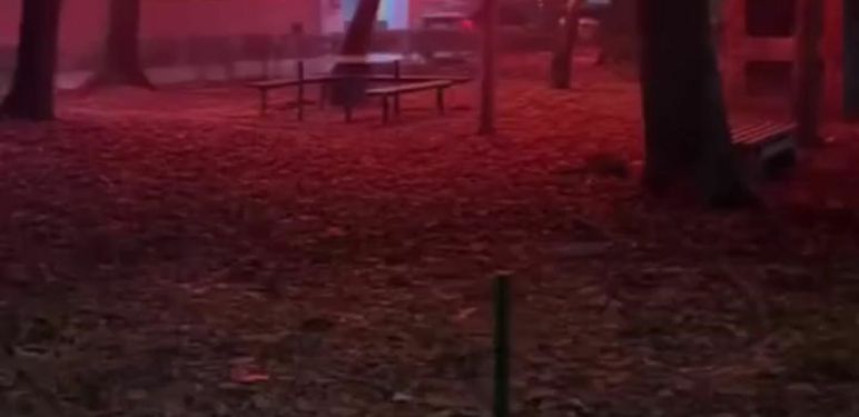 Neobična scena dekoracije u Nišu