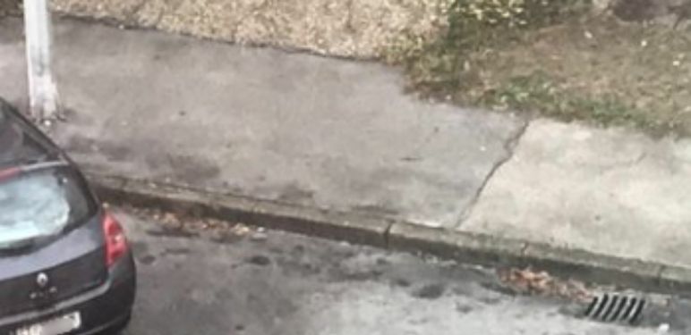 Neobičan način rezervacije parkinga u Hrvatskoj