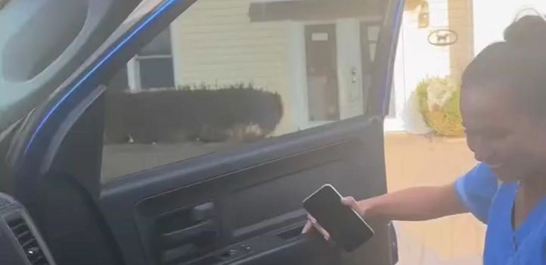 Čuvalica pasa nakon posla