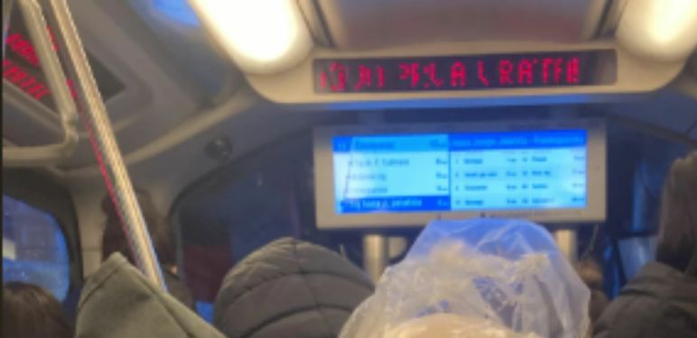 Muškarac sa svinjom preko ramena u tramvaju