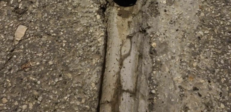 Neobičan detalj na slivniku u dvorištu