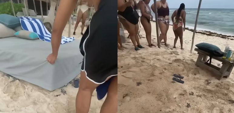 Kornjače na plaži