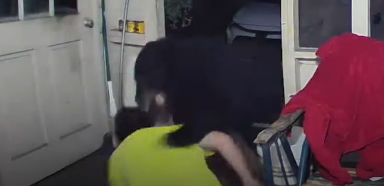 Obračun s medvjedom