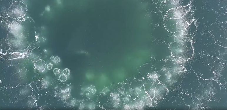 Metoda lova kitova u oceanu