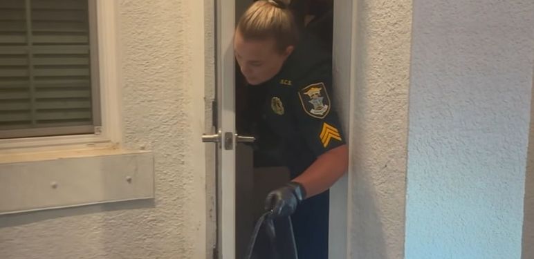 Policajka i aligator