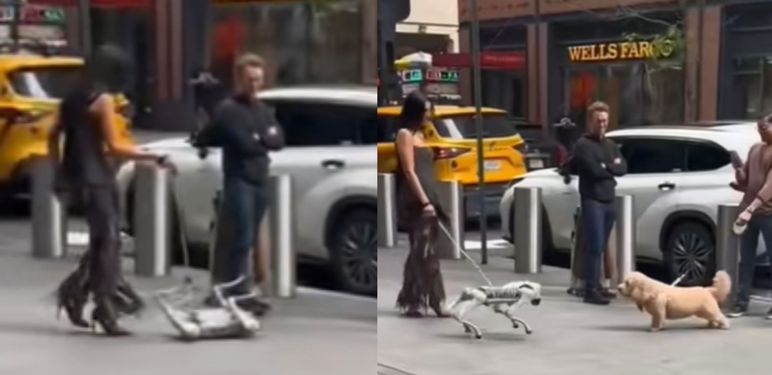 Susret pravog psa s robotskim
