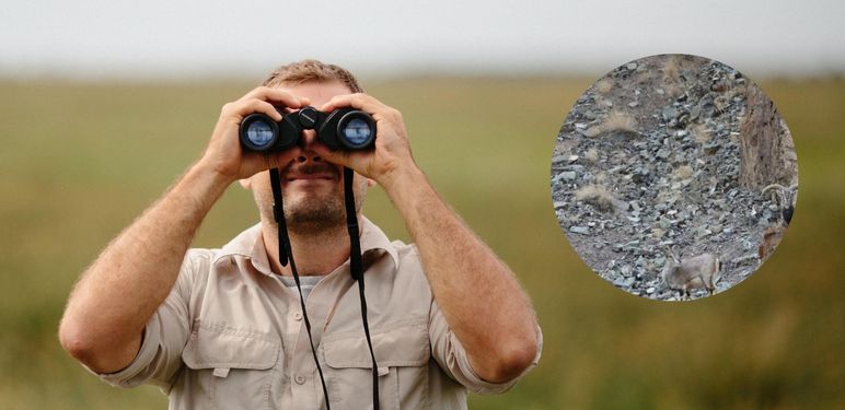 Muškarac koji gleda kroz dvogled i sakriveni snježni leopard