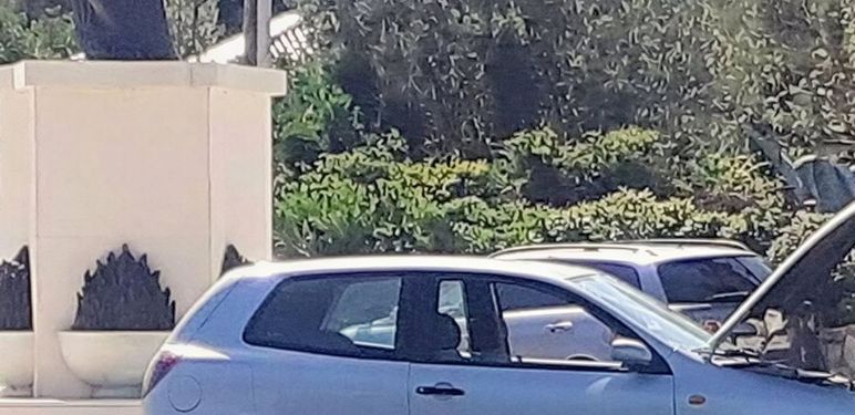 Auto pored mora
