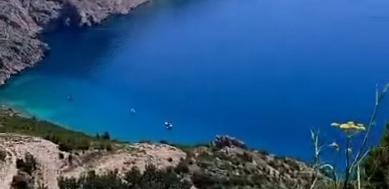 Pogled