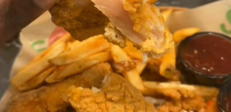 Sirova pohana piletina na tanjuru