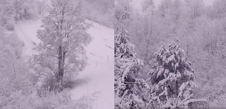 Snijeg u Gorskom kotaru