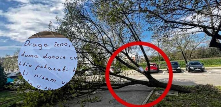 Ljubavna poruka na palom stablu u Hrvatskoj