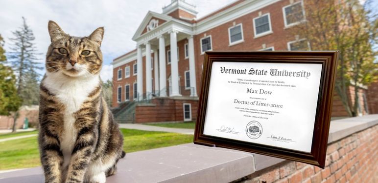 Mačak Max Dow i njegov počasni doktorat