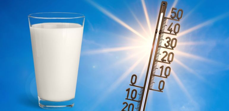 Mlijeko i termometar s visokom temperaturom