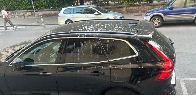 Auto prekriven ptičjim izmetom