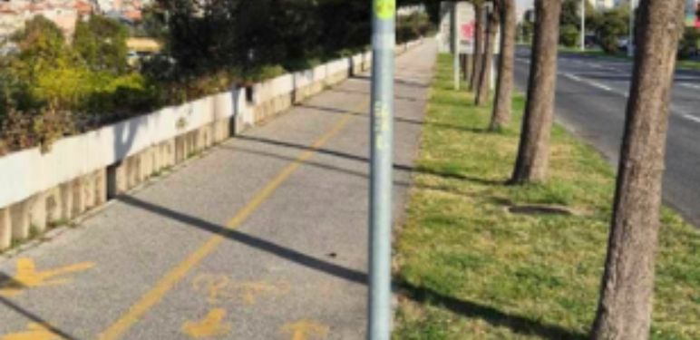 Neobična prometna situacija