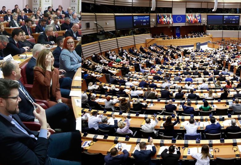 Hrvatski sabor i Europski parlament